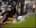 100215-101608-OA1D5898-FR.jpg