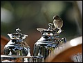 100215-101638-OA1D5905-FR.jpg
