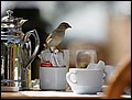 100215-101646-OA1D5907-FR.jpg