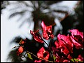 100215-120940-IMG_6001-FR.jpg
