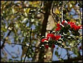 100215-123456-OA1D5978-FR.jpg