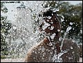 100215-130444-OA1D6011-FR.jpg