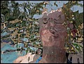 100215-130456-OA1D6019-FR.jpg