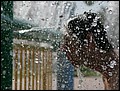 100215-130532-OA1D6033-FR.jpg