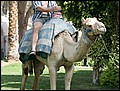 100217-111158-OA1D6971-FR.jpg