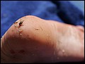 100217-113652-OA1D7069-FR.jpg
