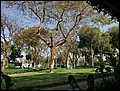 100218-091138-OA1D7513-FR.jpg