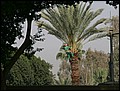 100218-091734-OA1D7518-FR.jpg