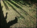 100218-093008-OA1D7534-FR.jpg