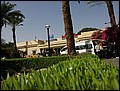 100218-095434-OA1D7538-FR.jpg