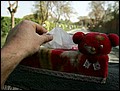 100218-100322-OA1D7549-FR.jpg