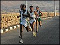 110128-070942-FR-OA1D2286.jpg