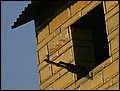 110128-082952-FR-OA1D3181.jpg