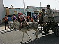 110128-123348-FR-OA1D3696.jpg