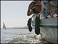 110128-131648-FR-OA1D3836.jpg