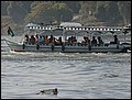 110128-133910-FR-OA1D3870.jpg