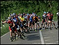 110501-093630-FR-OA1D2033.jpg