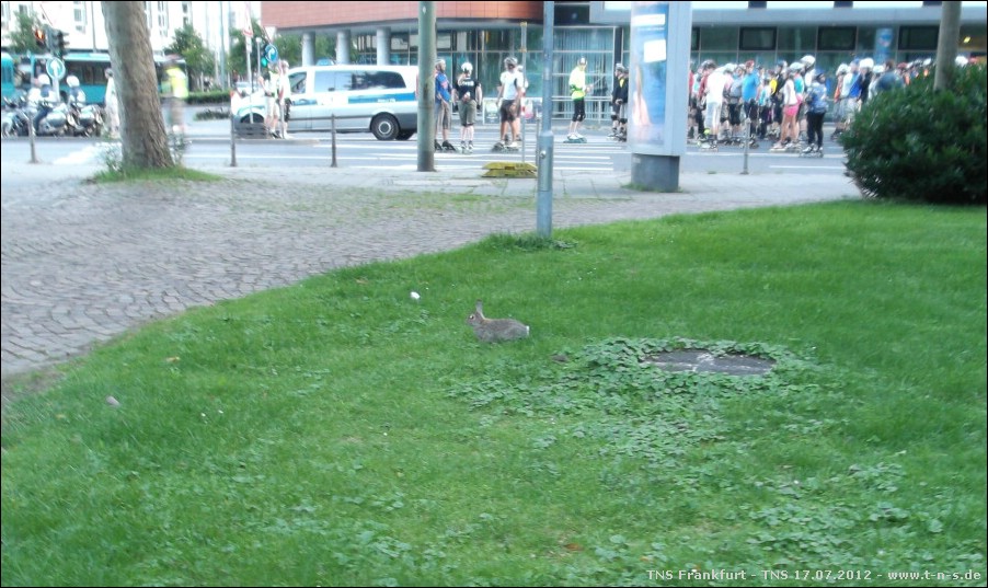 120717-205710-MN-DSCF2517.jpg