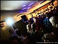 tns-party-2012-275.jpg