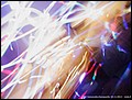 tns-party-2012-335.jpg