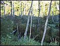 120923-174422-EN-P9213023.jpg