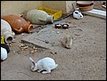 120416-100028-JH-DSC01146.jpg