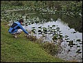 120206-100644-WB-DSC00270.jpg