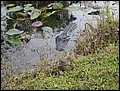 120206-101122-WB-DSC00273.jpg