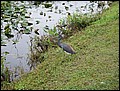 120206-101952-WB-DSC00281.jpg