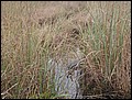 120206-104926-WB-DSC00297.jpg