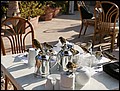 120124-083504-FR-OA1D0239.jpg