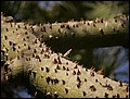 120124-084958-FR-OA1D0259.jpg