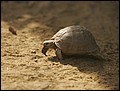 120125-112426-FR-OA1D1321.jpg