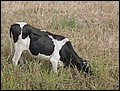 120125-114044-FR-OA1D1328.jpg