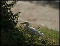 120125-144528-FR-OA1D1362.jpg