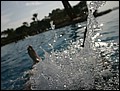 120125-151144-FR-OA1D1418.jpg