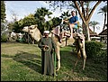 120125-152724-FR-OA1D1454.jpg