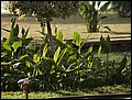 120125-154410-FR-OA1D1469.jpg