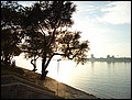 120125-161444-DM-DSC00171.jpg