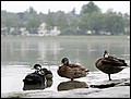 120726-065930-FR-OA1D0151.jpg