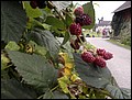 120726-093212-MN-DSCF3083.jpg