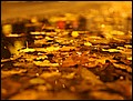 131015-211234-MN-IMG_1071.jpg
