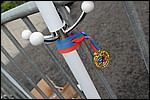 skate-challenge-2014-676.jpg