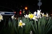IMG_6146.JPG