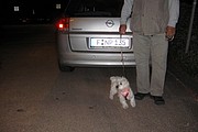 SR_IMG_2470.JPG