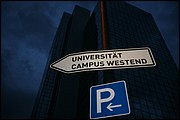 MN_IMG_0094.JPG
