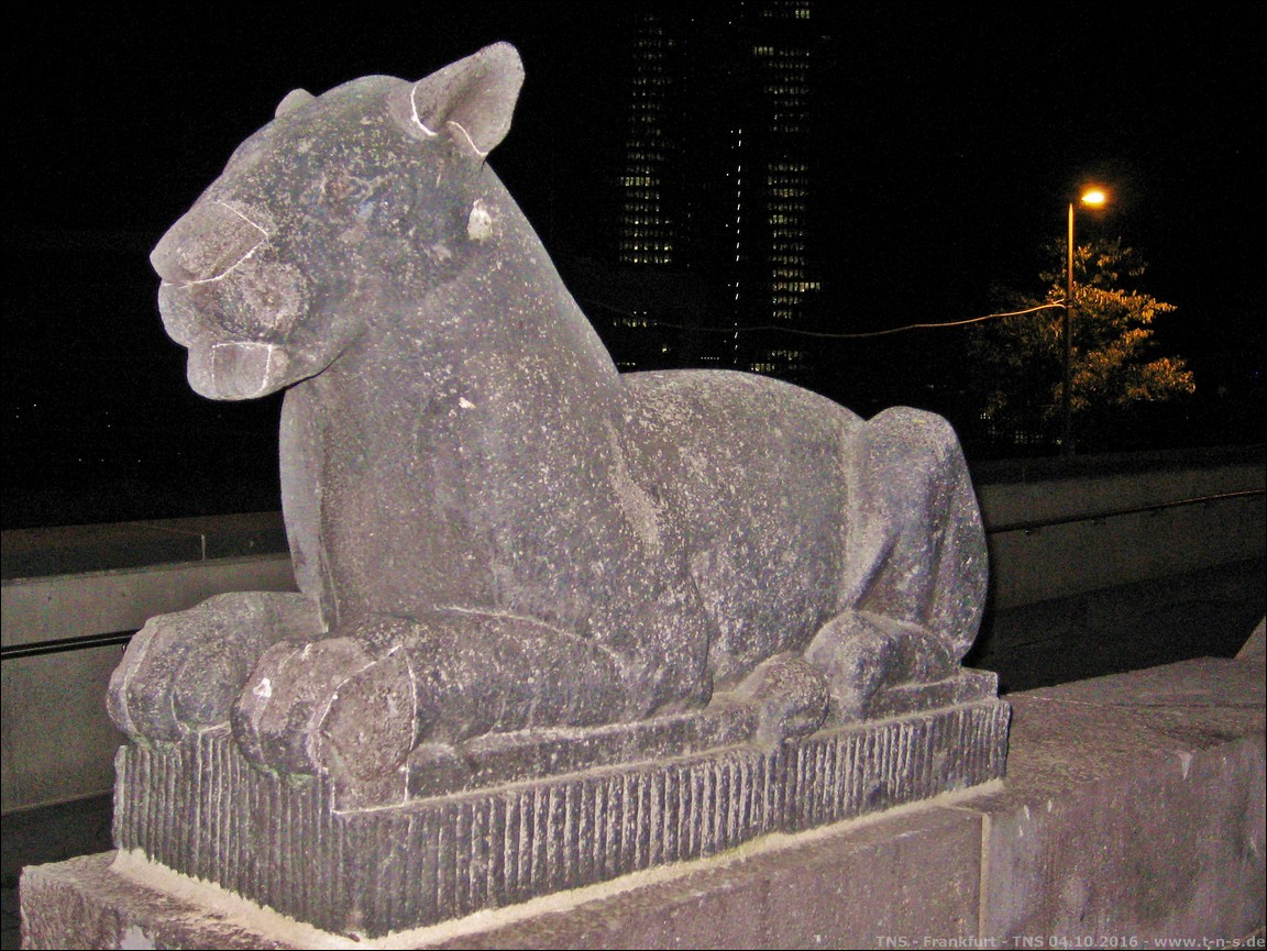 SR_IMG_7908.JPG