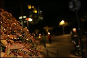 MN_IMG_4324.JPG