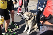 EW_IMG_1217.JPG