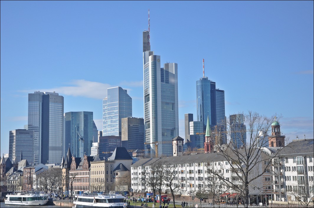 DSC_0313.JPG